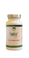 Lipolip Afslanktraject